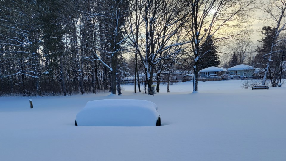 USED 2025-01-06-gm-snow-covered-bench-at-homewood-dd