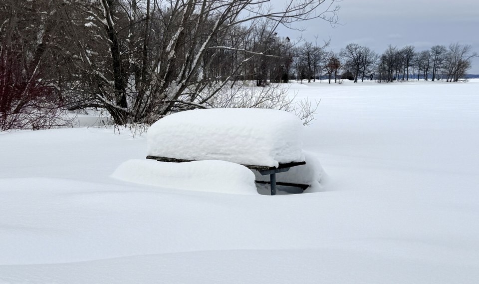 USED 2025-02-10-gm-snow-atop-picnic-table-at-tudhope-margotjpg