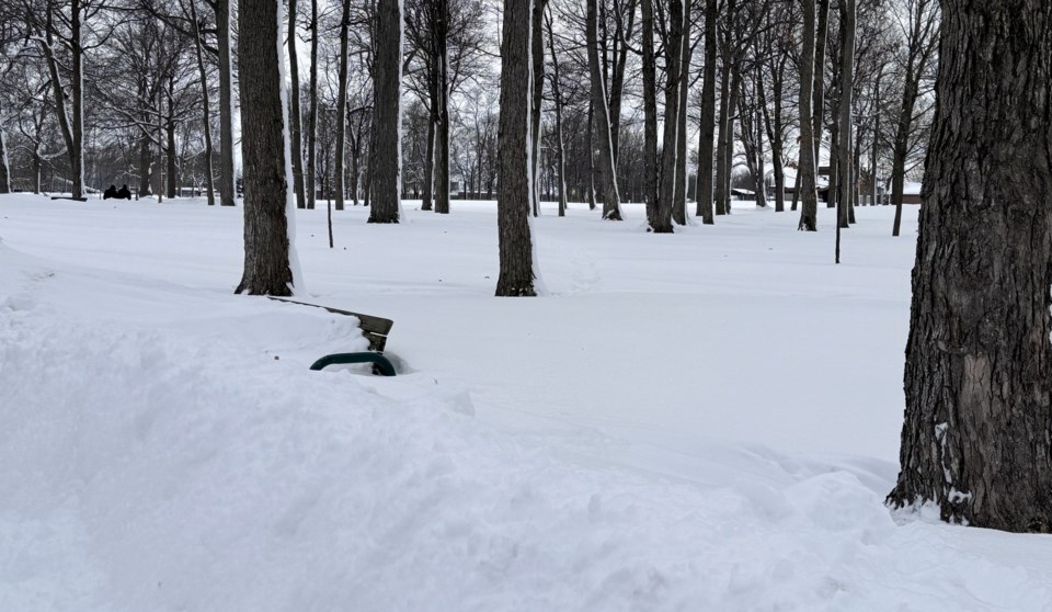 USED 2025-02-10-gm-snow-over-bench-at-tudhope-margotjpg