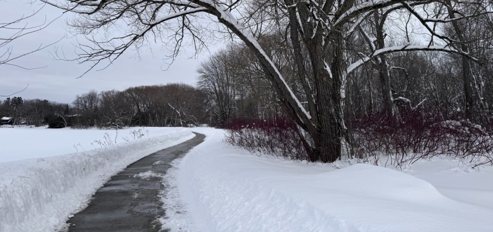 USED 2025-02-10-gm-tall-snowbanks-around-plowed-trail-at-tudhope-margotjpg