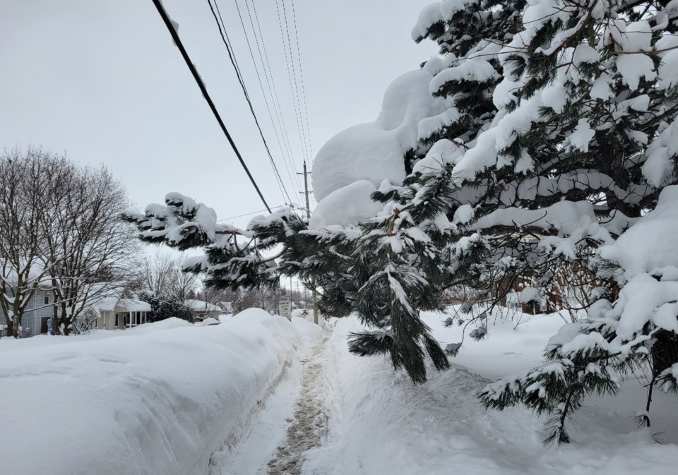 USED 2025-02-18-gm-heavy-snow-on-boughs-along-west-mount-dd