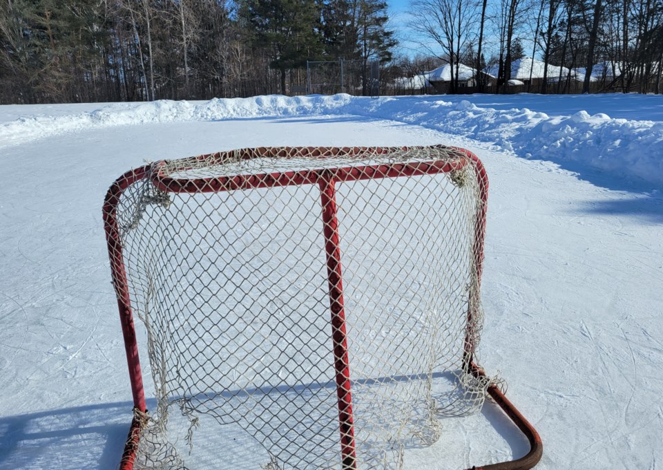 USED GM 2022-02-15 net on outdoor rink at homewood