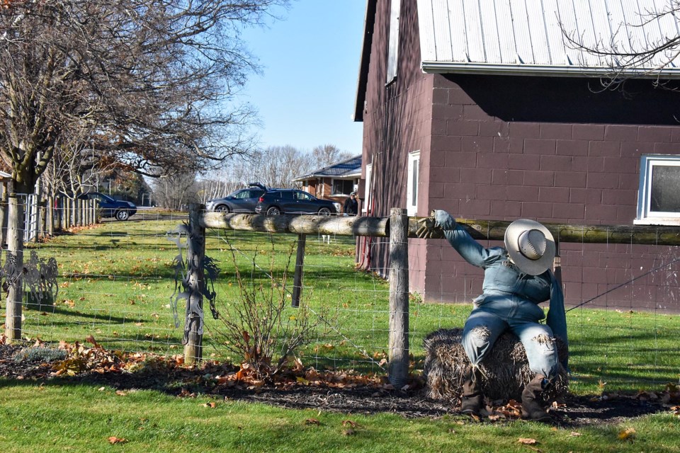 USED 11-november-25-2023-scarecrow-takes-abreak-on-cream-street-copy