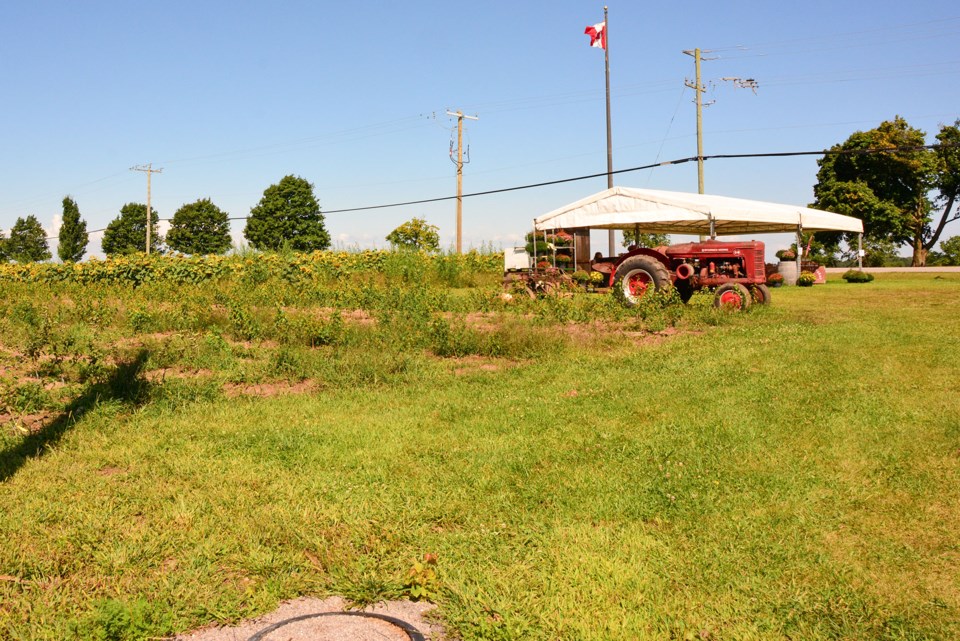 USED 2024-09-september-07-fruit-stand