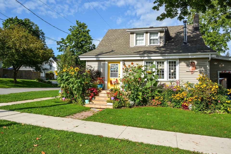 USED 2024-10-october-03-flowers-on-pelham-st