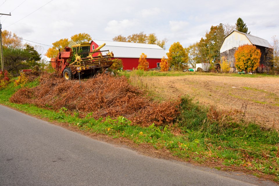 USED 2024-11-november-15-tractor