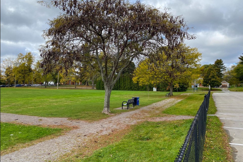 USED 2024-11-november-22-quiet-morning-at-harold-black-park-copy-2