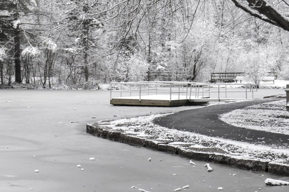 USED 2024-12-december-27-st-johns-ice-pond-copy