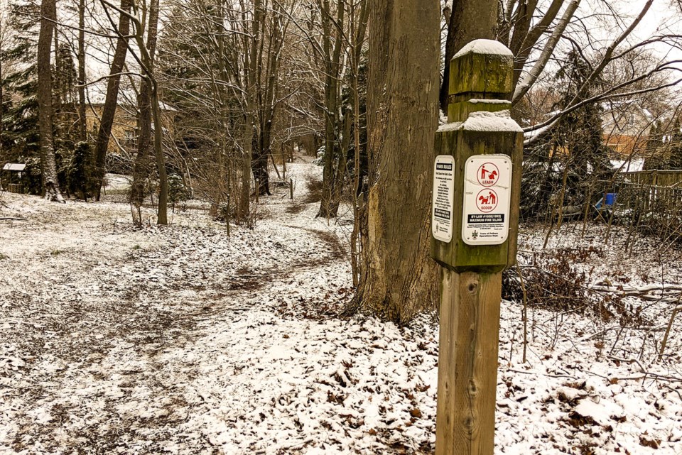 USED 2025-01-jan-13-trail-marker