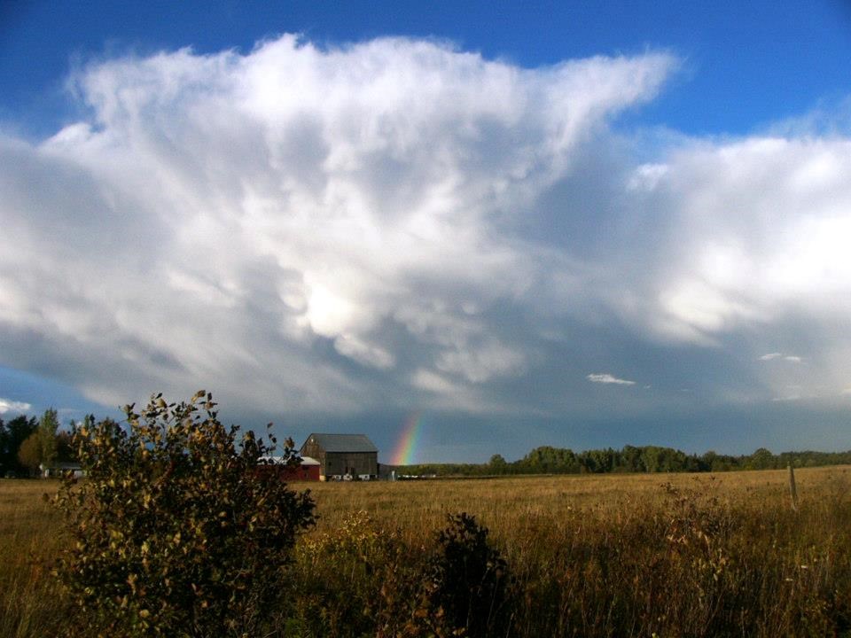 USED 20241120-slpickford-rainbow3