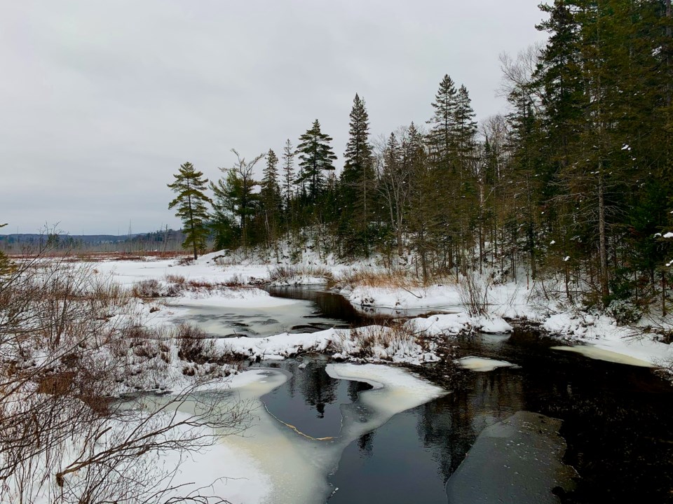 USED 2021-01-17 - Good Morning Sault Ste. Marie (1)