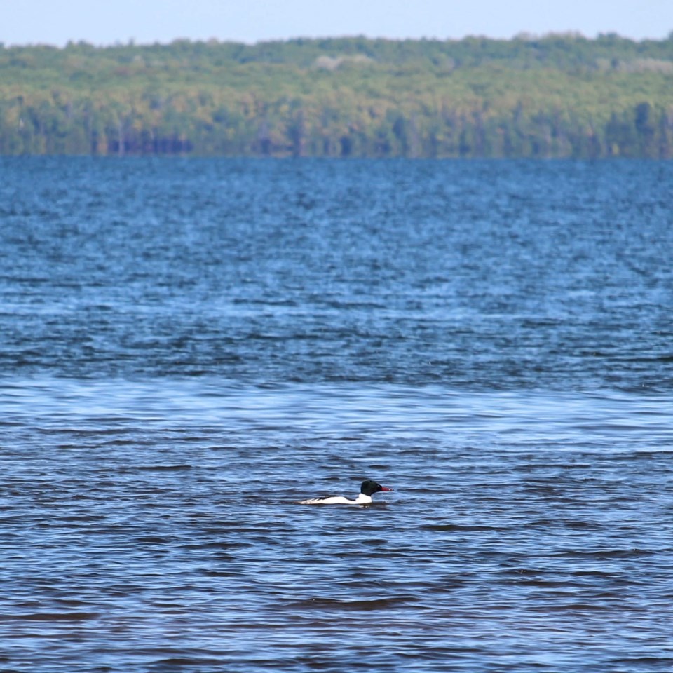 USED 2021-06-13 - Good Morning Sault Ste. Marie (12)