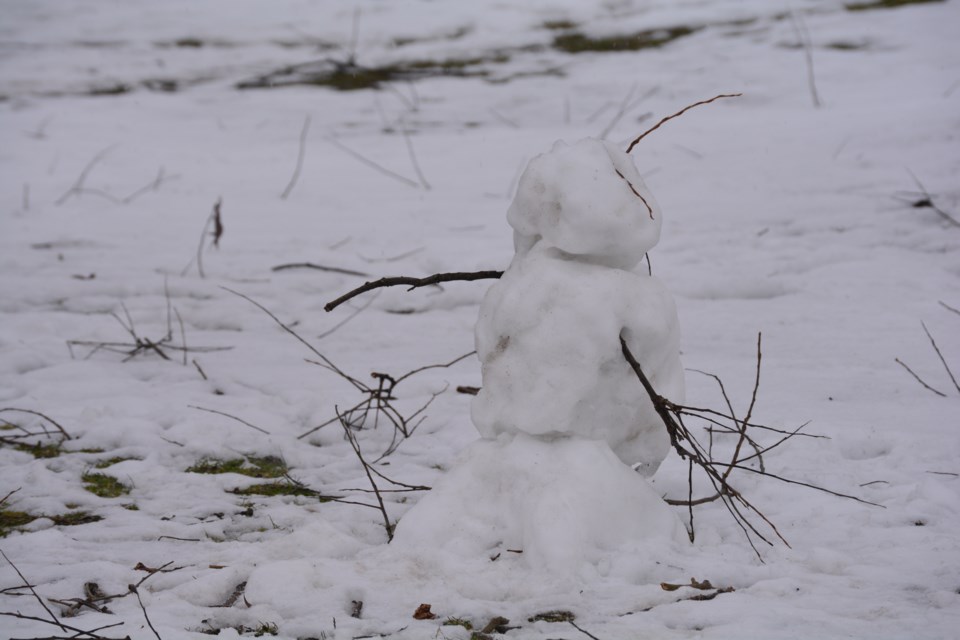 USED FEB 20230206snowman