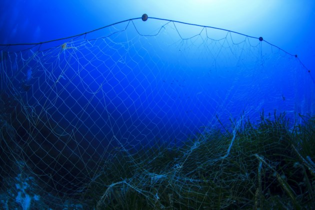 Ministry, Batchewana want to find owner of nets containing rotting fish - SooToday.com