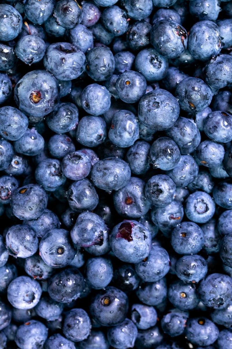 Have your say on the Michigan Blueberry Research and Education Program