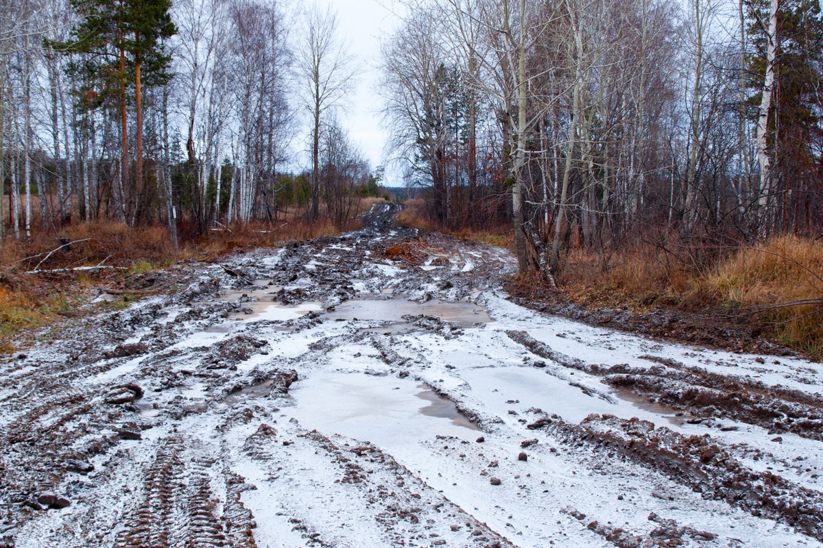 Грязь колея. Распутица на дорогах. Разбитая дорога в лесу. Грязная дорога в лесу. Распутица в лесу.