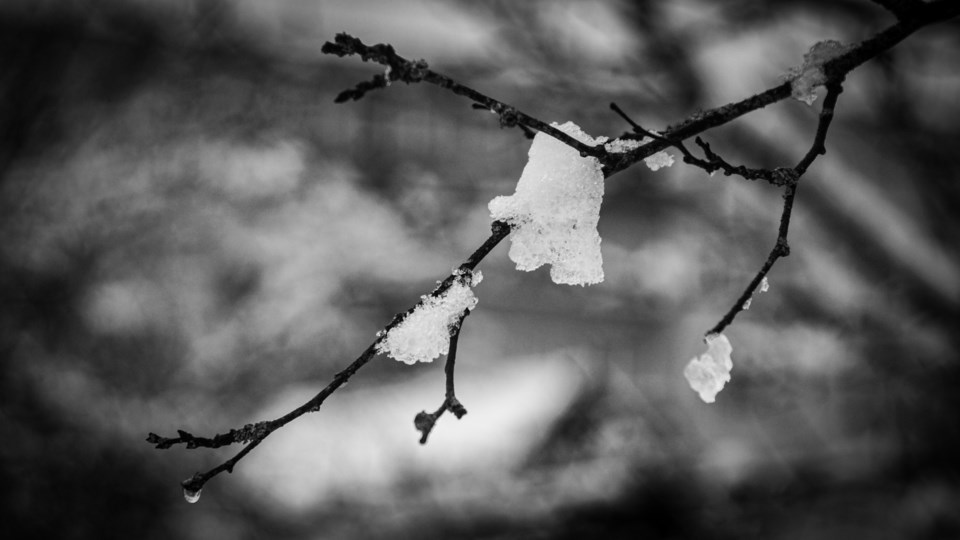 Spring Snowstorm