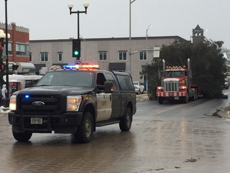 Kenora's Main Street Christmas tree is expected to be transported on Tuesday.