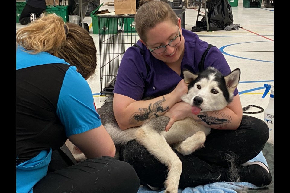 Petsmart vet fashion clinic near me