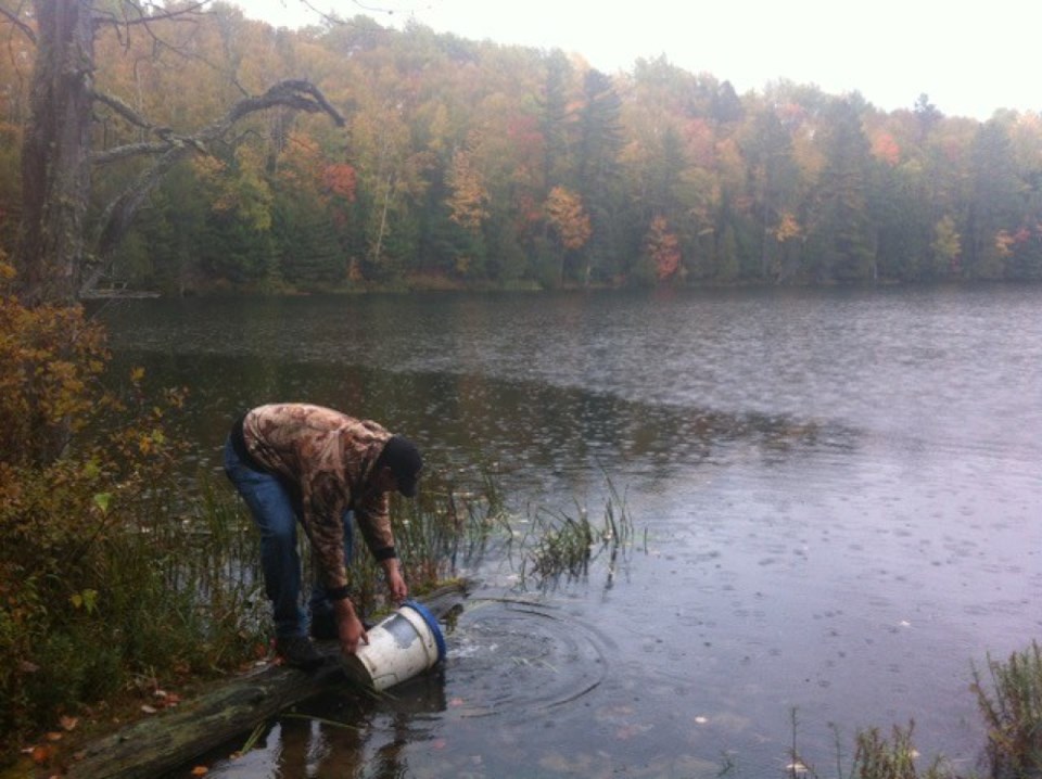 20240112-brook-trout_rock-lake