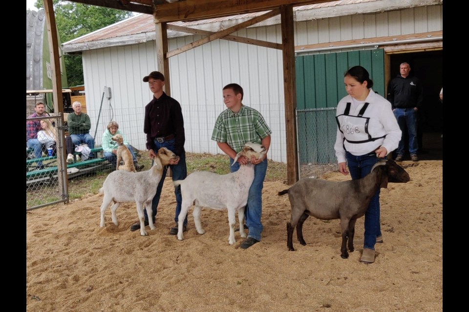 Chippewa County Sheriff Michael Bitnar has partnered with Michigan State University Extension 4-H Director Maggie Merchberger and Skerbeck Entertainment Group to run Kids Day from 1 p.m. to 4 p.m. Wednesday, Aug. 31