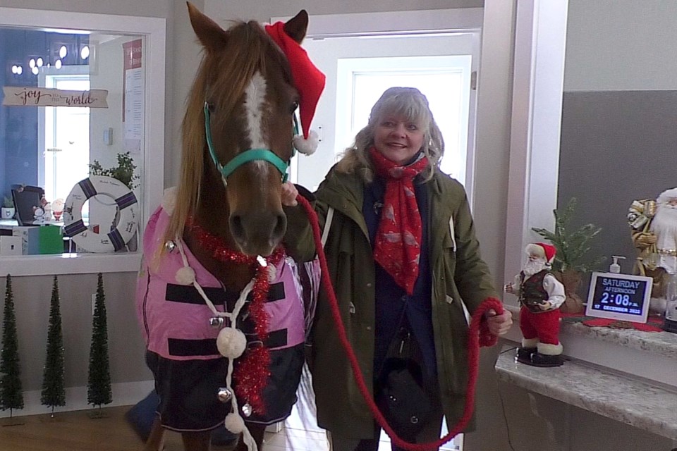 Junior, a unique 12-year-old horse who can paint and perform tricks, trotted into Harbor View this weekend 