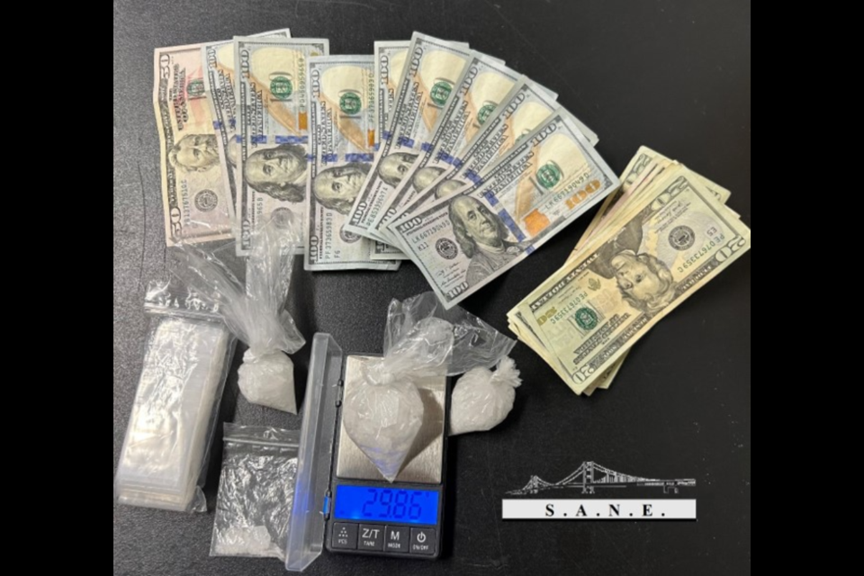 Detectives seized drugs and cash after executing search warrants in the City of Gaylord.