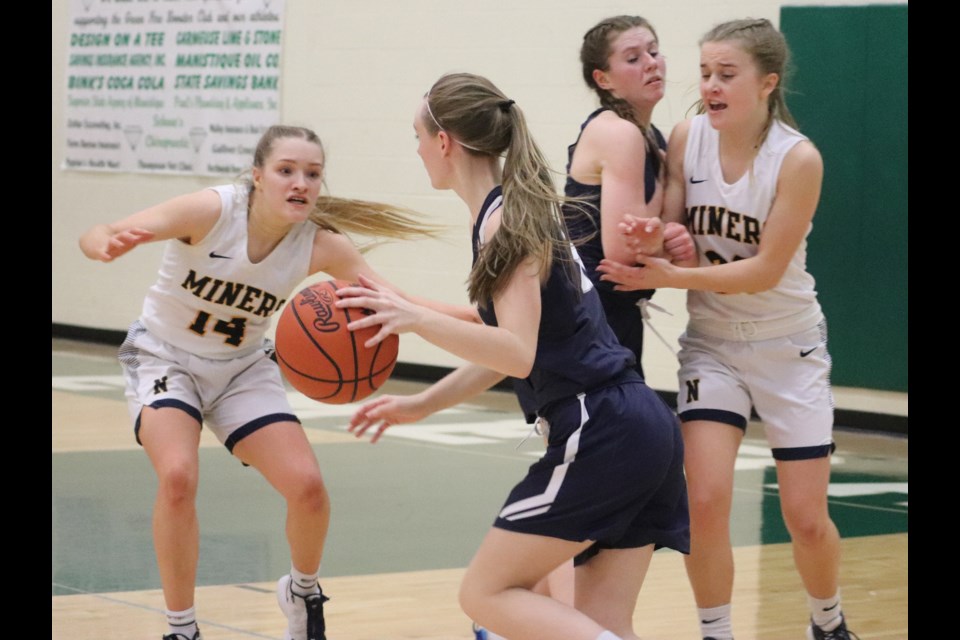 The Sault High School Lady Blue Devils took on Negaunee Miners Monday evening in a game which ended the Blue Devils' season.
Neil Moran