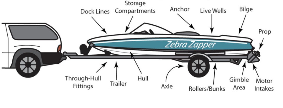 zebra-zapper-boat