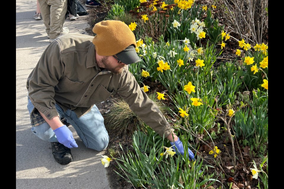 Nearly four dozen people of all ages helped clean up Sault Ste. Marie Saturday.