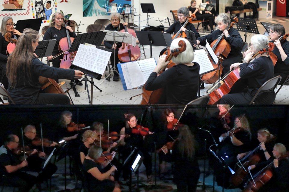 Under the direction of Dottie Case, there will be 3 levels of adult string orchestras and a cello ensemble group playing classics and more for a great afternoon of music. 
