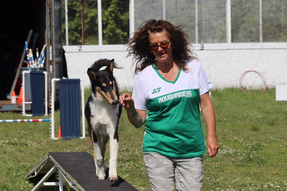 Dogs of all breeds and sizes were joined by their owners at Anna McCrea for agility and skills exercises as part of the annual "Try a Sports Day" on Saturday.