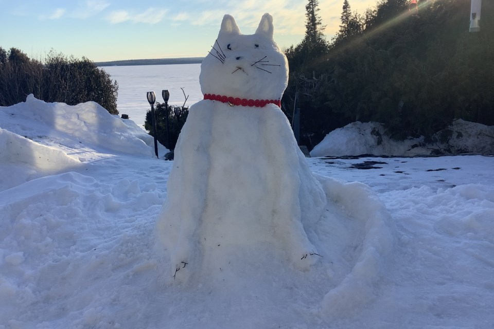 Carrie Ibbitson, who calls herself a big kid at heart, took advantage of a beautiful sunny day Saturday to get out and play in the snow. But rather than build the traditional person, the feline enthusiast, who owns two house cats of her own, decided to construct one of snow. Carrie lives in Bruce Mines, facing Lake Huron. Courtesy of Carrie Ibbitson.