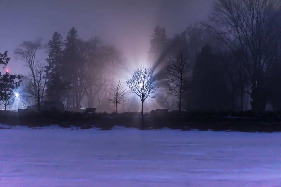 Bellevue Park in the fog.