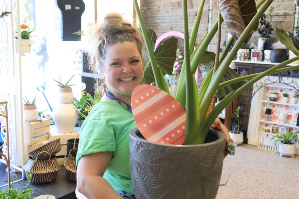 17 downtown businesses along Queen Street each have an Easter egg hidden somewhere in their store as part of this year's Spring Thaw: Hop and Shop