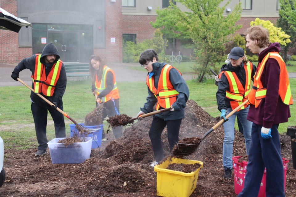 Volunteers with Clean North provided local gardeners with free mulch at the George Leach Centre on Saturday morning. The mulch was donated through the non-profit's Christmas tree depot.