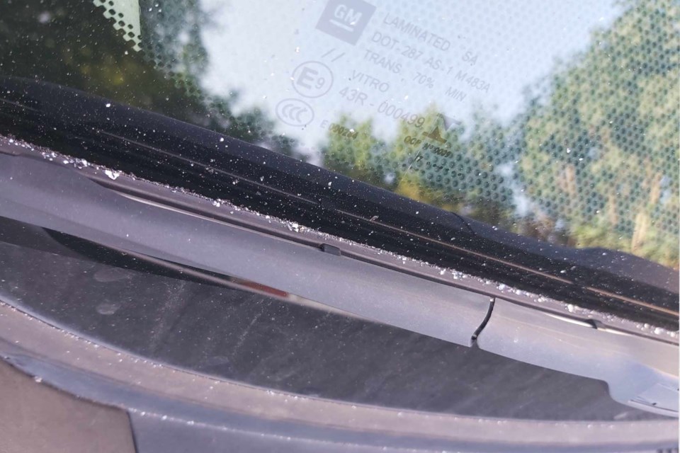 Tiny graphite flakes that fell from Algoma Steel earlier this summer are pictured on the windshield of Sault resident Toby Traveson's vehicle