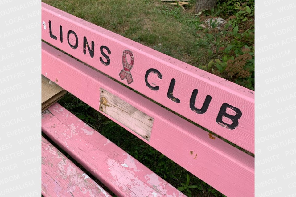 The plaque on Tracy's Dream Memorial Bench along the St. Marys River was discovered missing late last week. 