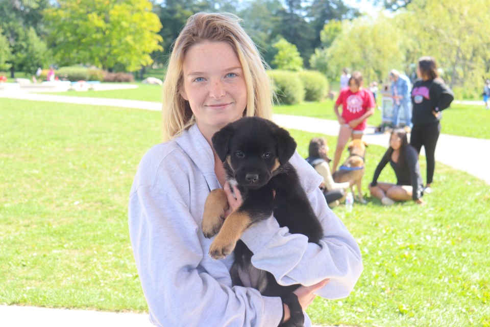 Maddisyn Evans hosted a "Furry Friends Meet and Greet" at Bellevue Park on Sunday to spread awareness for her new rescue and attract interest from potential fosters.