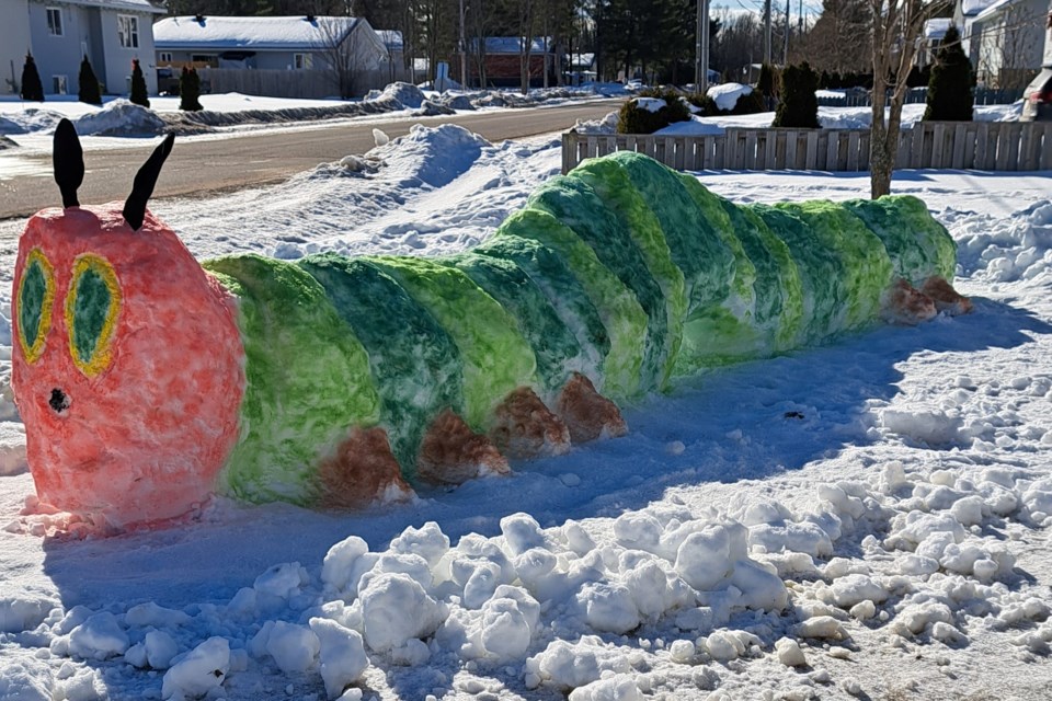 Sara and Sophie Toulouse decided to put their artistic talents to work on Family Day. They created this colourful (and no doubt cold) caterpillar in their yard on Bear Creek Avenue.