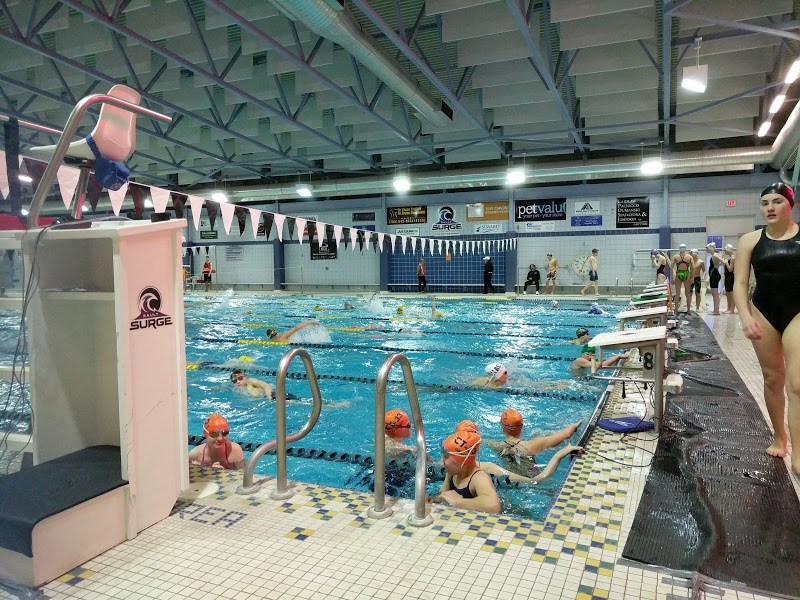 Swimmers warm up in this file photo