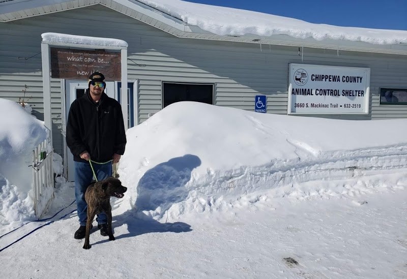 BULLETIN Pitbull mix Ruby Doo crosses U.S border in hopes of