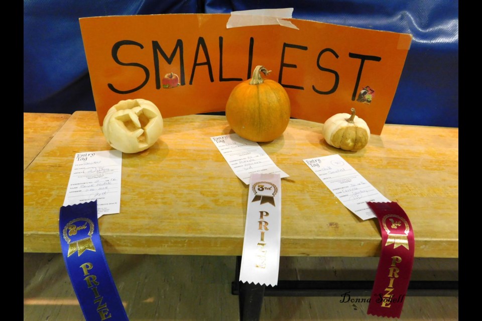 The St. Joseph Island Horticultural Society held its annual pumpkin decorating contest. Donna Schell for SooToday