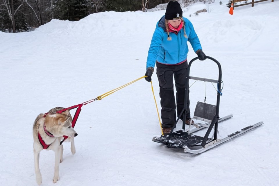 Kaja and her best friend get ready to take off for a skijoring experience.