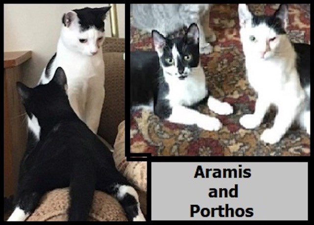 AdoptMe2022-03-01AramisAndPorthos