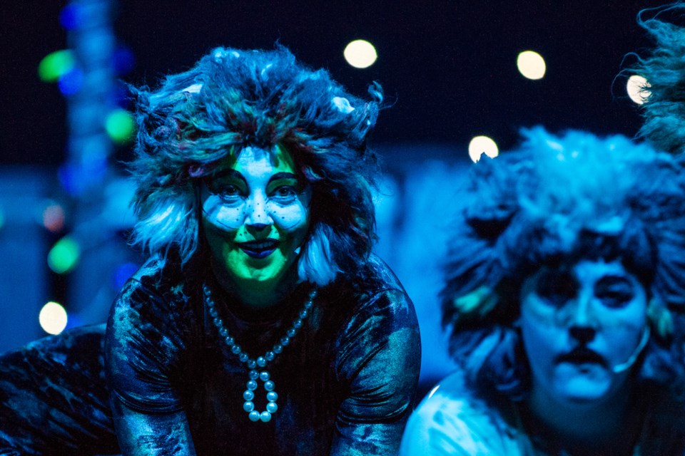 Kara as Rumpleteazer in the Musical Comedy Guild's production of 'CATS!' in 2019