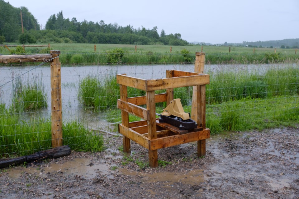 The Kensington Conservancy installed nose pumps on Charles Stobie's property so that his cows could have access to water as they protected the creek that runs through it. Jeff Klassen/SooToday