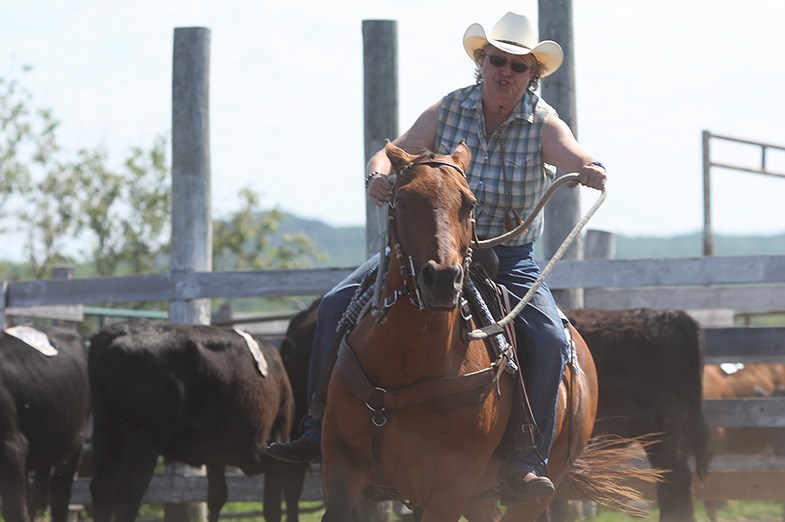 Team Penning event with Bar River Rodeo Club in Echo Bay, Ontario. Kenneth Armstrong/SooToday