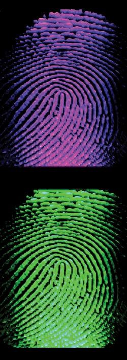 Fingerprints