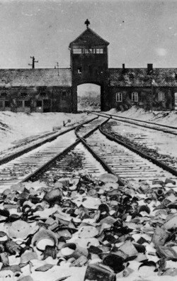 auschwitz